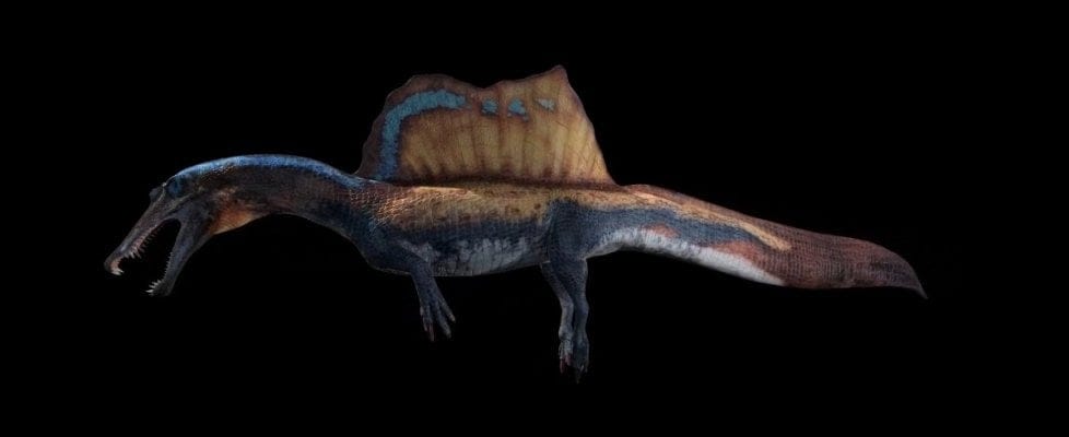Spinosauro: una scoperta riscrive la storia del più grande predatore