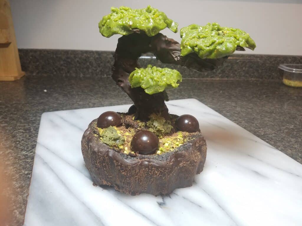 bonsai al cioccolato