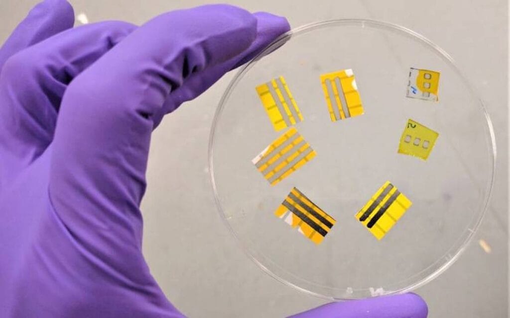 I tatuaggi OLED intelligenti potrebbero aiutare a combattere il cancro
