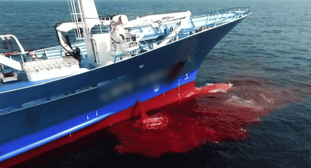 Seaspiracy vi aprirà gli occhi sull'orrore della pesca intensiva