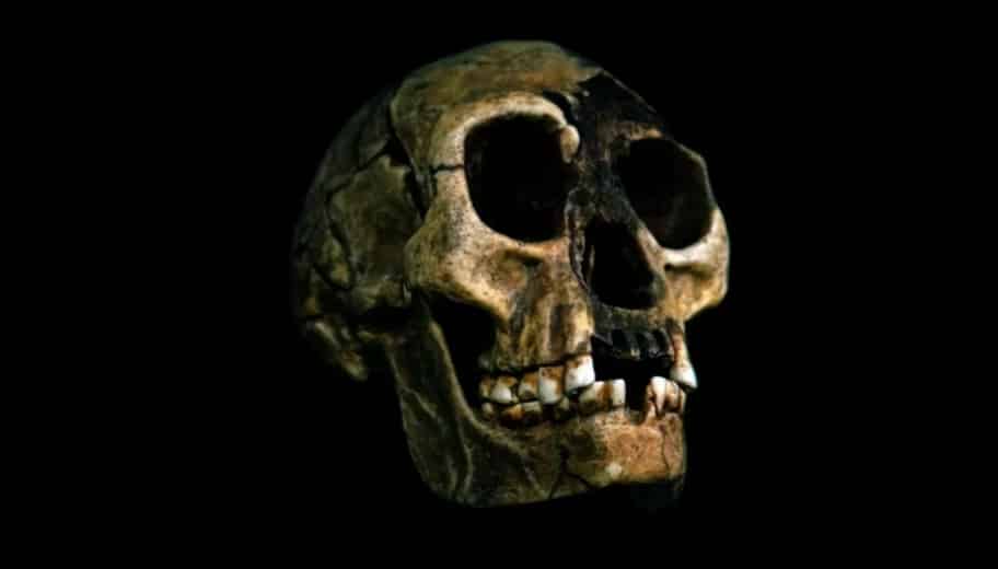 L'homo Florensiensis detto "Hobbit": un'identità difficile da riconoscere