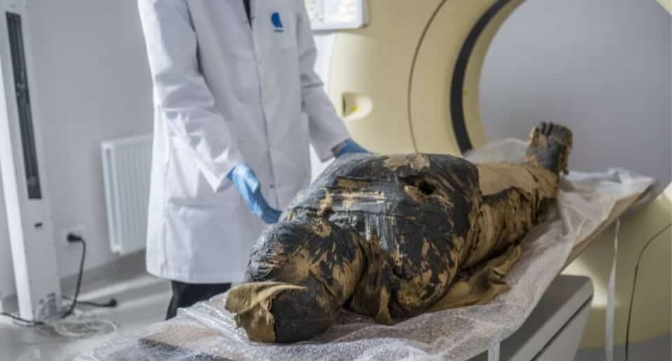 Scoperta la prima mummia incinta conservata