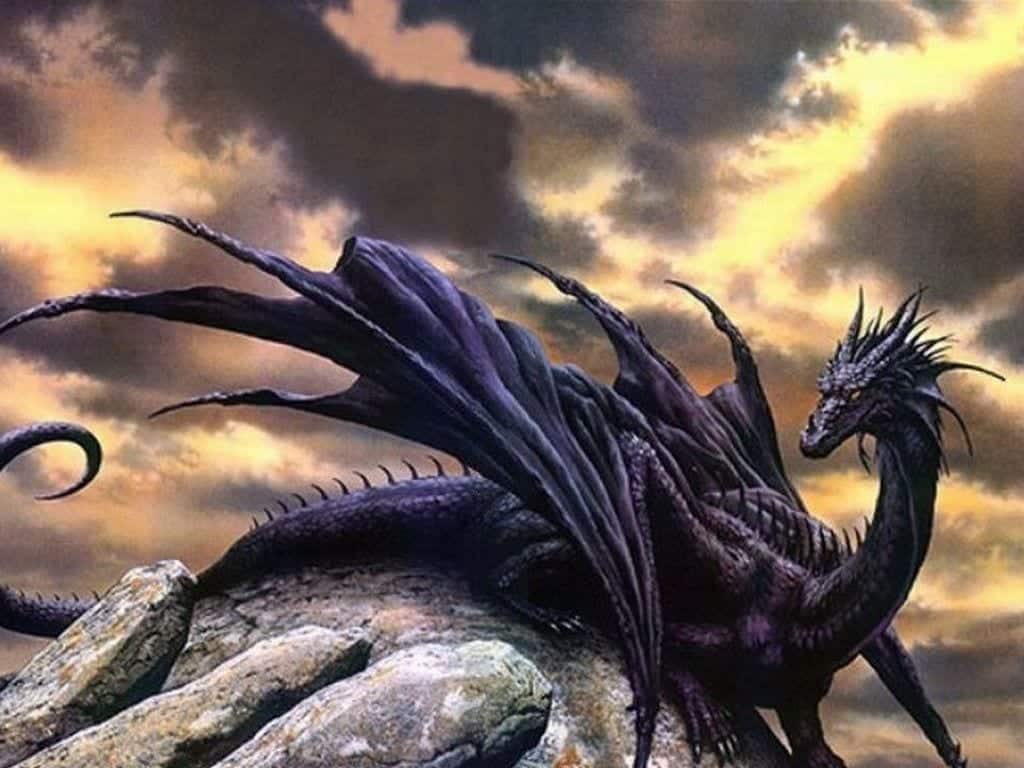 Drago o non drago? Una Guida per distinguerli tutti...