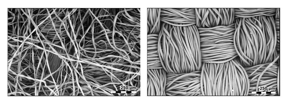 Le maschere filtranti al microscopio: le strabilianti immagini artistiche