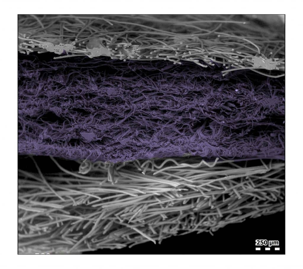 Le maschere filtranti al microscopio: le strabilianti immagini artistiche