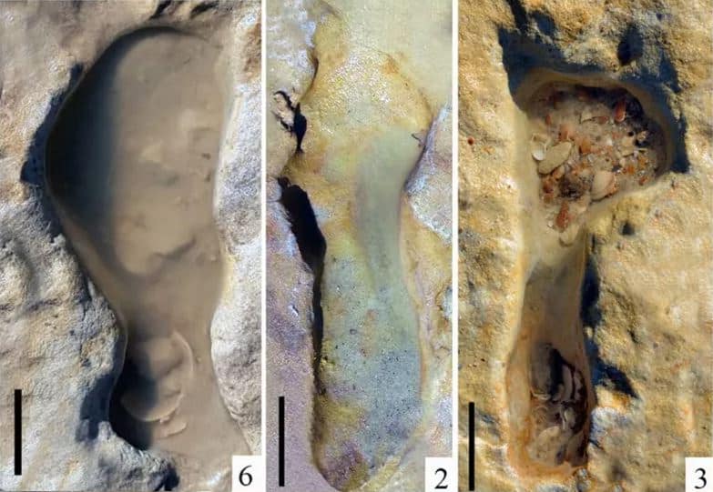 Le impronte fossili di bambini Neanderthal che giocano nella sabbia