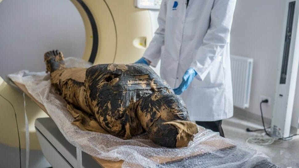Il volto di un'antica e misteriosa donna egiziana viene ricostruito, nel team di ricerca un'italiana